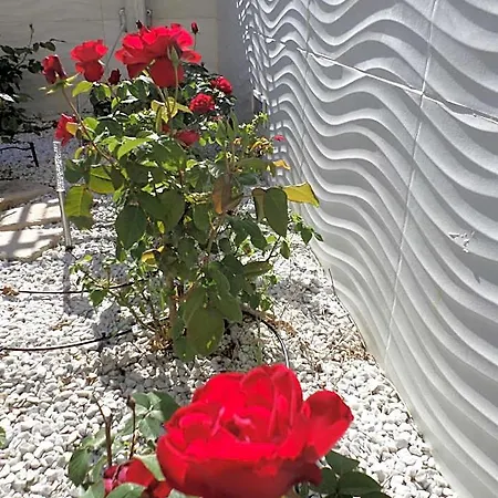 Bed & Breakfast H5-5H Luxury Room 4*